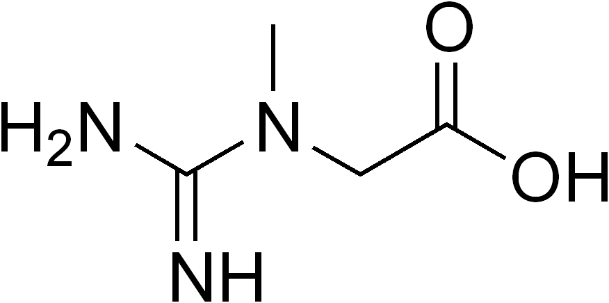 Creatine and diabetes